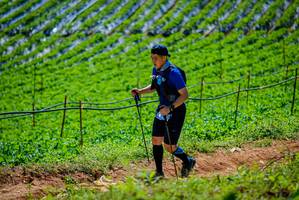 BIB: 
                            <button type="button" onclick="openModal(19164449)" class="btn btn-primary btn-sm float-right btn-popup" data-toggle="modal" data-target=".modal-high-quality">
                        <i class="fas fa-shopping-cart"></i> Add to Cart
                    </button>
                                            <button type="button" onclick="isThisMe(19164449, true)" class="btn btn-success btn-sm float-right btn-popup btn-isme hidden" data-toggle="tooltip" data-placement="bottom" title="นี่คือรูปของคุณใช่ไหม คลิกที่นี่เพื่อเอาเข้าอัลบั้ม">
                        <i class="fas fa-plus"></i> Add to album
                    </button>
                    <button type="button" onclick="isThisMe(19164449, false)" class="btn btn-warning btn-sm float-right btn-popup btn-isnotme hidden">
                        <i class="fas fa-ban"></i> Remove from album
                    </button>